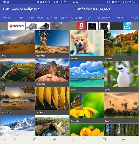 10000 Nature Wallpapers: las mejores aplicaciones de fondos de pantalla de Android