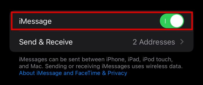 iPhone 信息設置中的 iMessage 選項