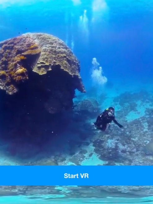 VR подводное плавание с Google Cardboard