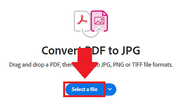 在 Adob​​e Acrobat 中選擇要轉換的 PDF 文件