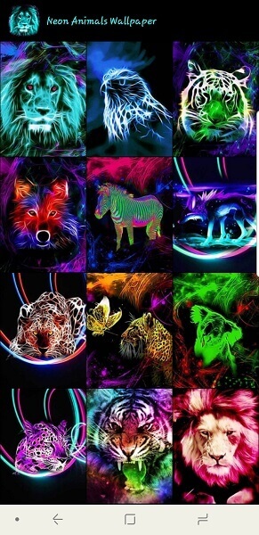 Neon Állatok Háttérkép