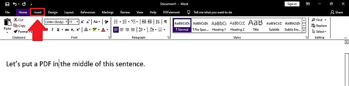 Indsættelse af en PDF-fil i et Word-dokument som et objekt