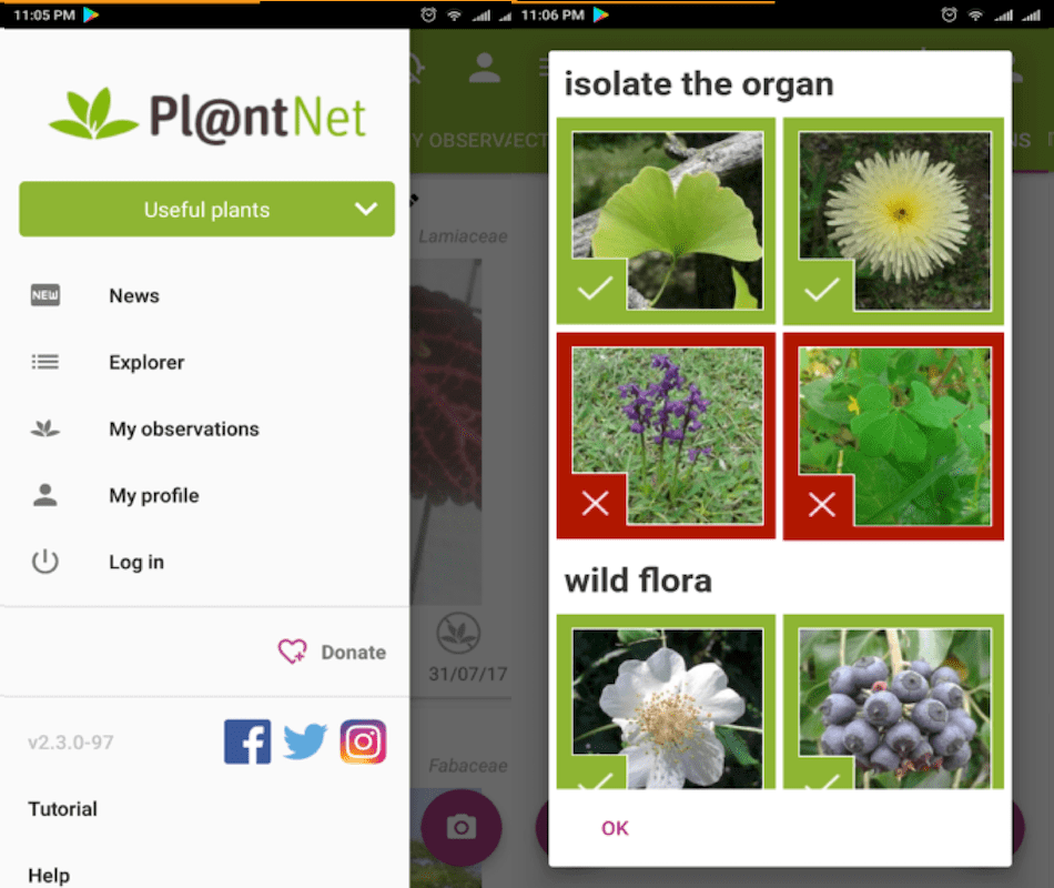 PlantNet - Beste apps voor plantidentificatie