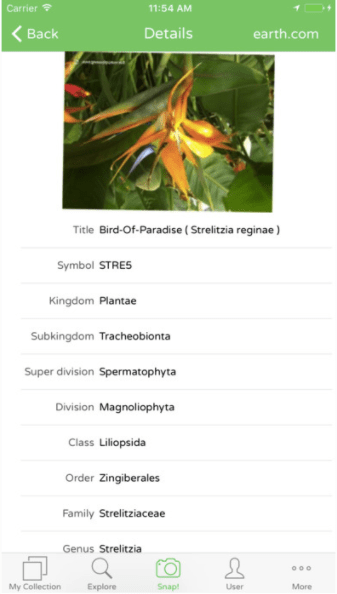 PlantSnapアプリ