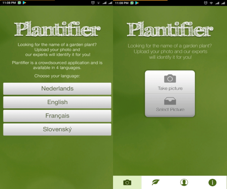 Plantifier-sovellus kasvien tunnistamiseen