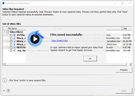 Arquivos de vídeo reparados com sucesso no Mac