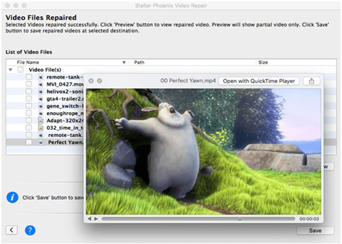 Software de reparo de vídeo Mac/Windows