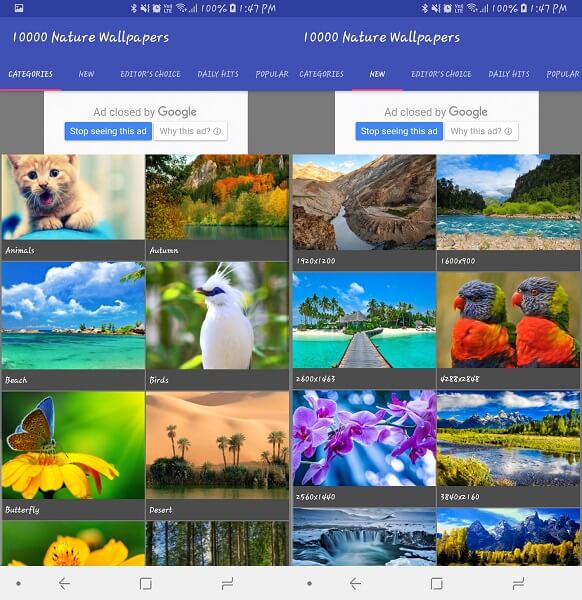 Beste natuur-apps - 10000 natuurachtergronden