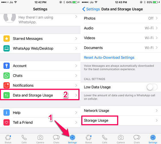limpar armazenamento de bate-papo no whatsapp - iPhone