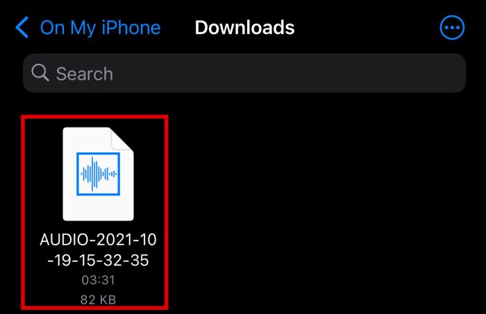 Downloads folder in iPhone with an audio file highlighted