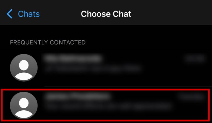선택한 채팅 스레드가 강조 표시된 iPhone의 채팅