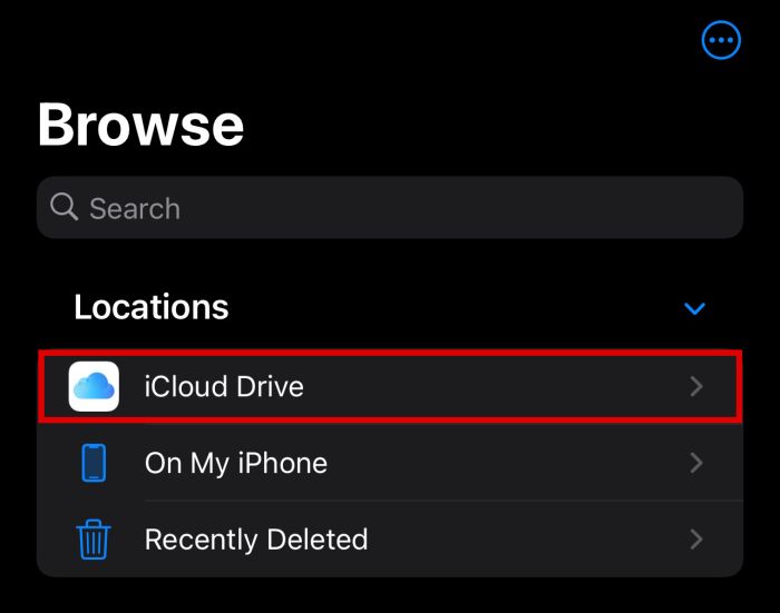 突出显示 icloud 驱动器选项的 iPhone 文件应用程序