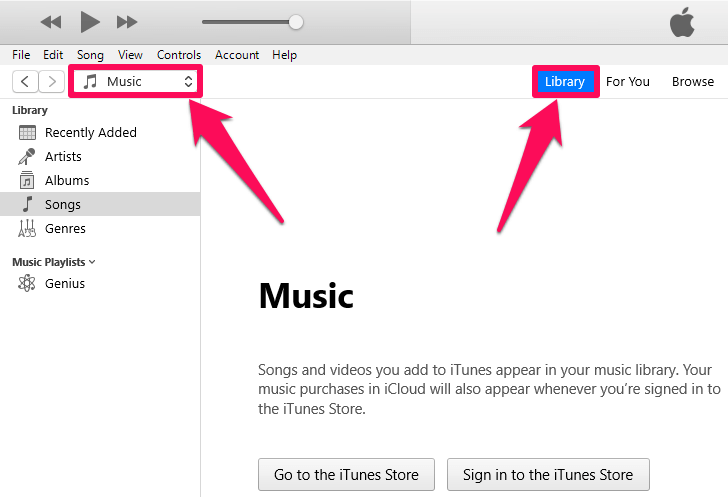 iTunes 音樂和資料庫