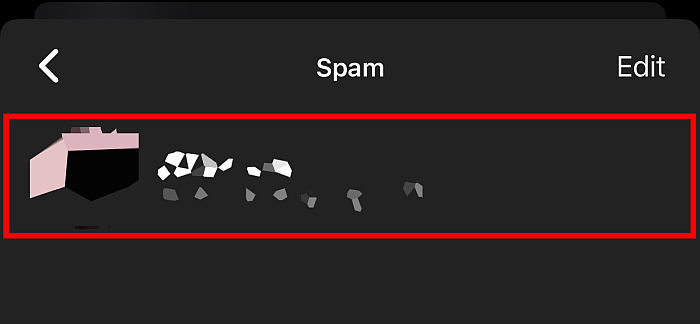 Spam folder contains all ignored messages